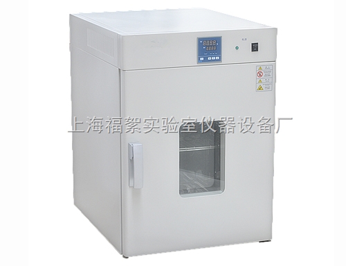 上海DHG-9140A恒温鼓风干燥箱