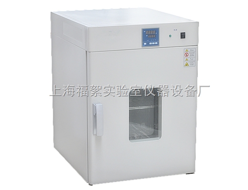 上海DHG-9140B立式鼓风干燥箱