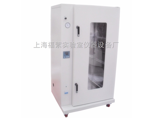 非标定制立式大型真空烘箱/干燥箱/大观察窗